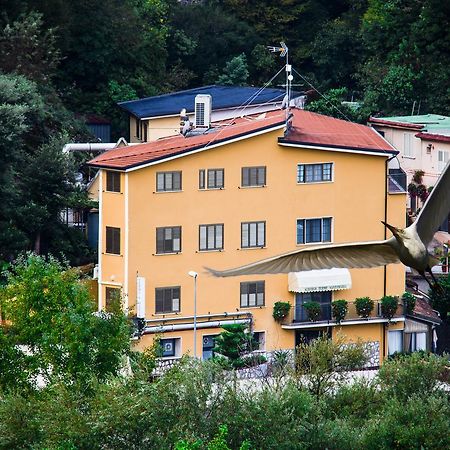 Albergo Terme Santamaria Кастельфорте Экстерьер фото